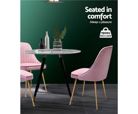 RETRO VELVET DINING CHAIR - PINK (SET OF 2)