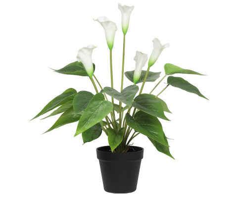 ARTIFICIAL 50CM WHITE PEACE LILY