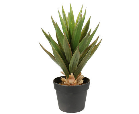 ARTIFICIAL 50CM ALOE VERA PLANT